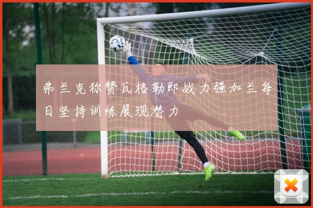 弗兰克称赞瓦格勒即战力强加兰每日坚持训练展现潜力