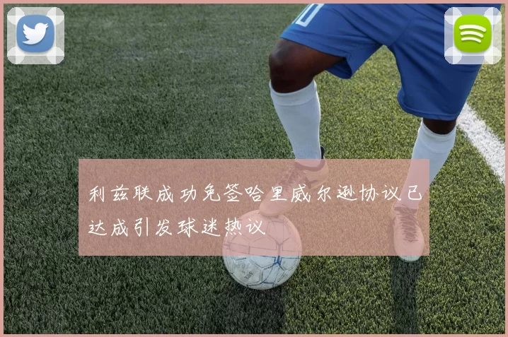 利兹联成功免签哈里威尔逊协议已达成引发球迷热议